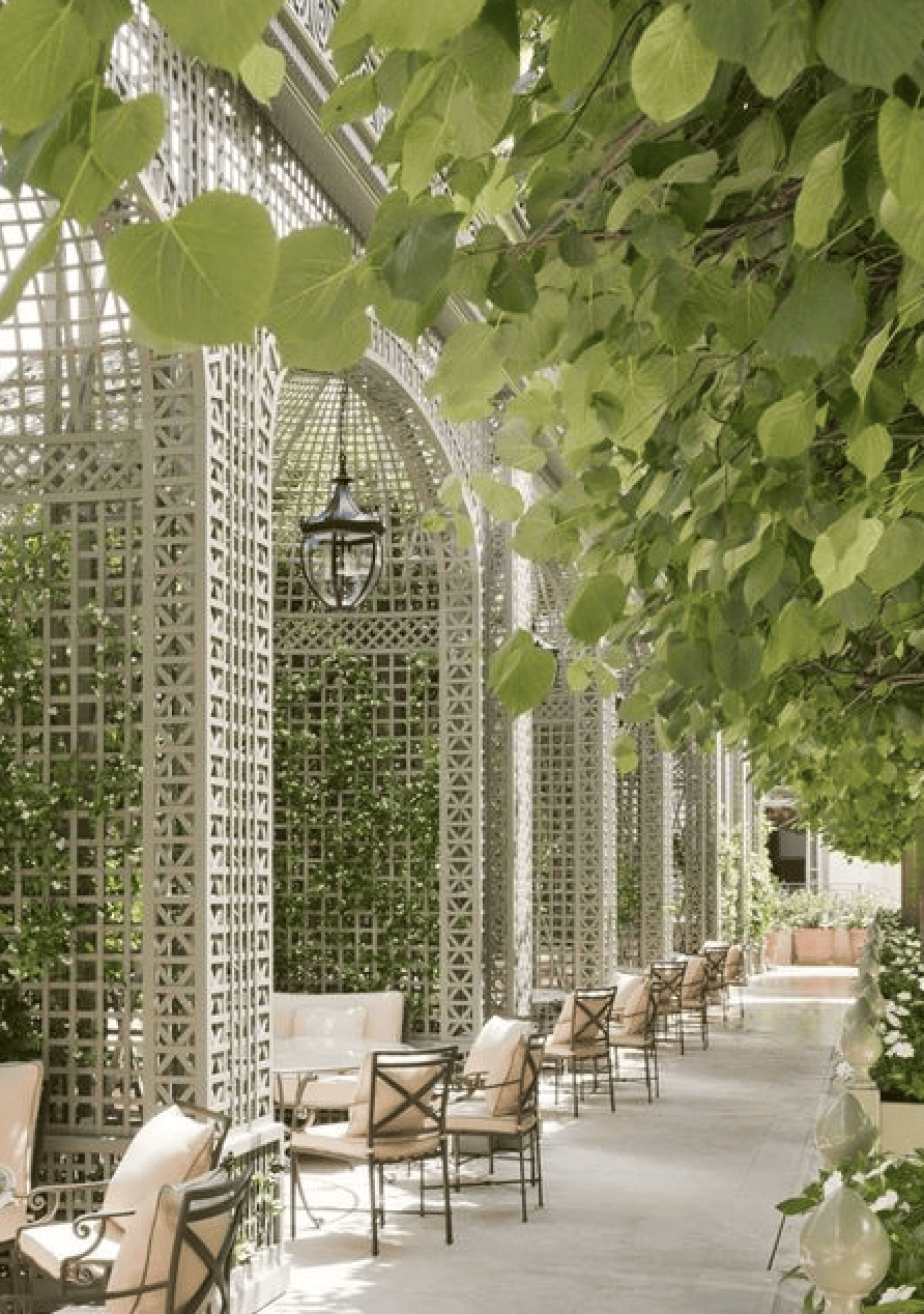 The Ritz Paris. Trellis garden. 